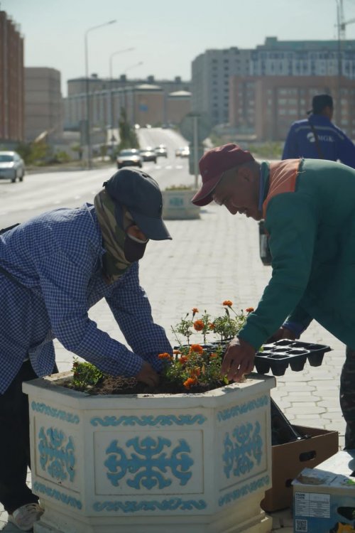 Айбек Ерболеков: Работники ТОО «Green City Aktau» делают всё, чтобы вернуть нашему городу былой зелёный фонд, для этого у нас есть всё необходимое