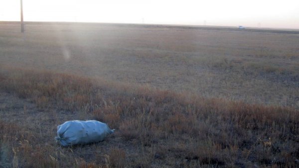 На собственном энтузиазме: жителя Актау застали за уборкой мусора в одном из сёл