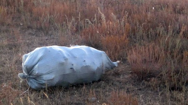 На собственном энтузиазме: жителя Актау застали за уборкой мусора в одном из сёл