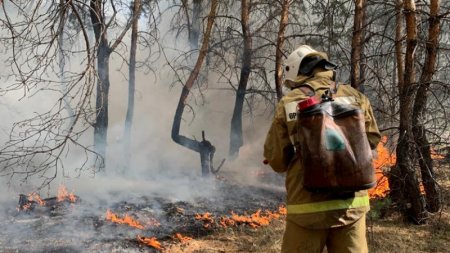 Миллион тенге от банка получат жители сгоревших домов в Костанайской области 
