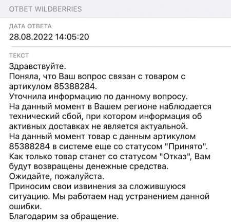 Wildberries в Казахстане не возвращает деньги клиентам, снова ссылаясь на технический сбой