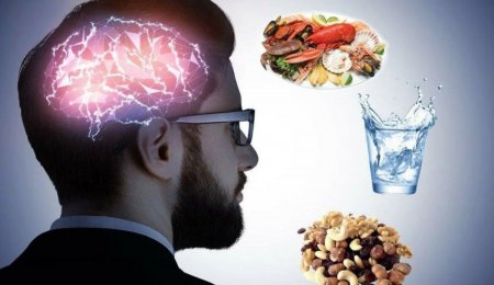Четыре продукта, полезных для мозга, назвал ученый