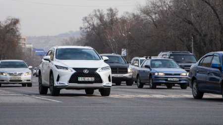 В Казахстане для иностранных авто установят единый регистрационный сбор