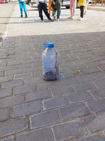 Спасатели извлекли змею из автомобиля в Актау