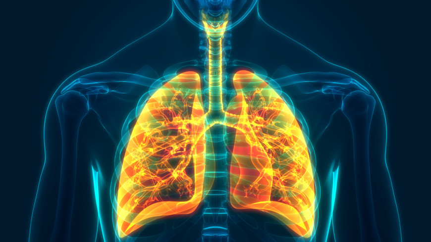 Забота о лёгких