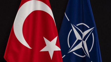 Турция не поддерживает вступление Финляндии и Швеции в НАТО