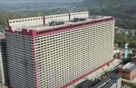 В Китае построили небоскреб для свиней