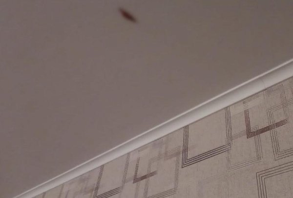 Появились фото с места взрыва в актауской квартире