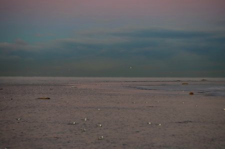 Фотограф из Алматы запечатлел замерзший Каспий в Актау