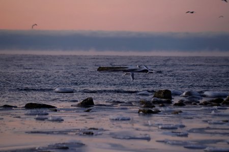 Фотограф из Алматы запечатлел замерзший Каспий в Актау