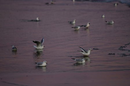 Фотограф из Алматы запечатлел замерзший Каспий в Актау