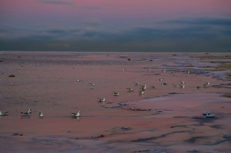 Фотограф из Алматы запечатлел замерзший Каспий в Актау