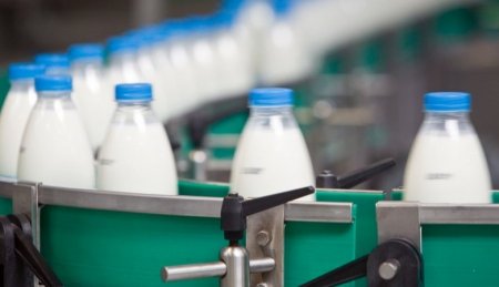 В ценовом сговоре подозревают молочных производителей