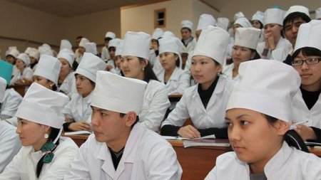 В Казахстане студентам медвузов будут ежегодно повышать стипендии до 20%