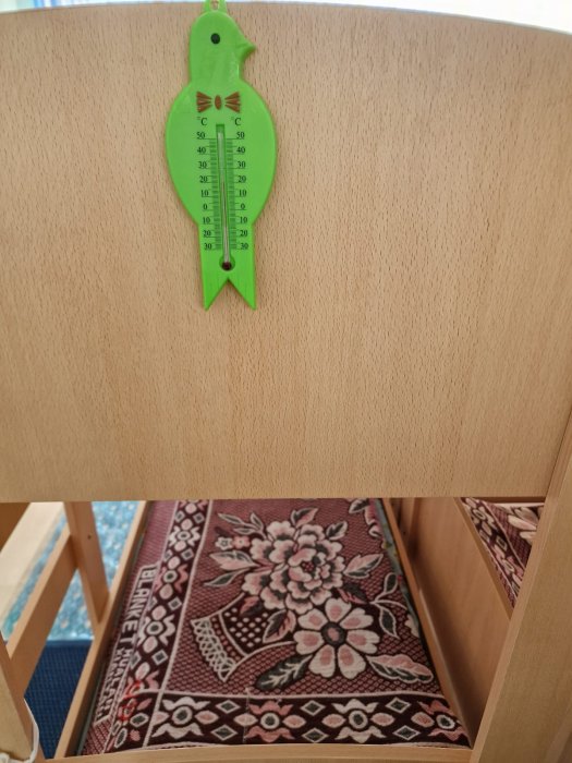 «Детей приходится одевать как капусту»: жители Актау сообщили о холоде в детском саду