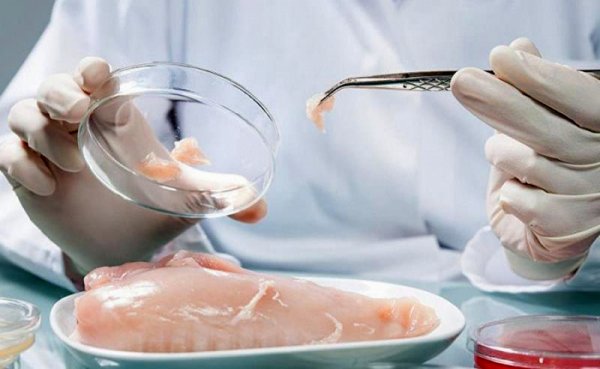 Кишечная палочка и сальмонелла: куда обращаться при нарушениях в Актау