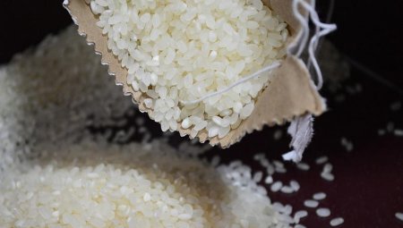 Крупных производителей риса подозревают в ценовом сговоре в Казахстане