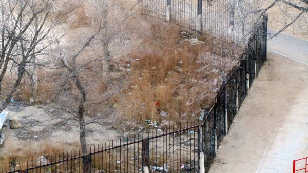 В свалку превратилась территория медколлежда в Актау