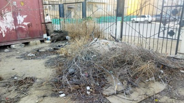 В свалку превратилась территория медколлежда в Актау