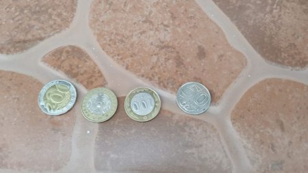 Странную "улику" обнаружили в школе Петропавловска после ЧП