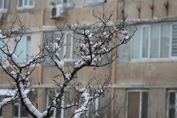 Снежное настроение Актау