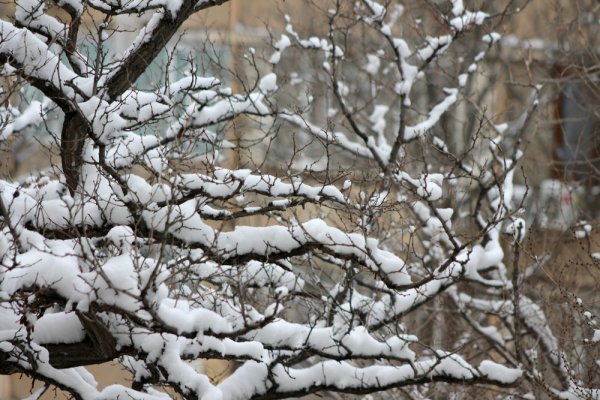 Снежное настроение Актау