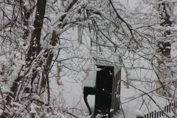 Снежное настроение Актау