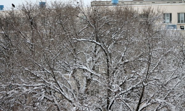 Снежное настроение Актау