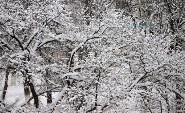 Снежное настроение Актау