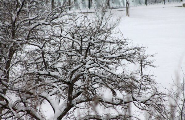 Снежное настроение Актау