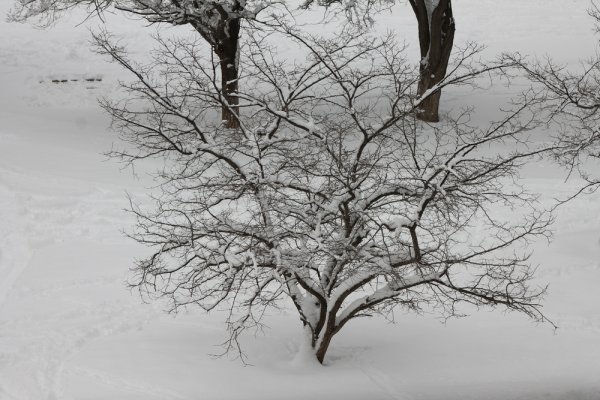 Снежное настроение Актау