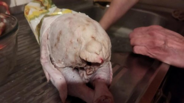 Курица в пятнах: качеством товара недовольны жители Актау