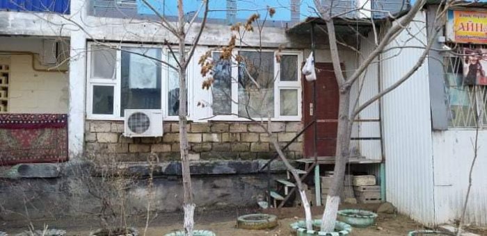 Жители 2 микрорайона Актау обвинили в вырубке деревьев владельцев магазина