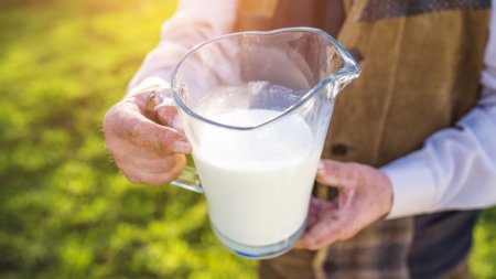 В каком регионе Казахстана продают самое дорогое молоко