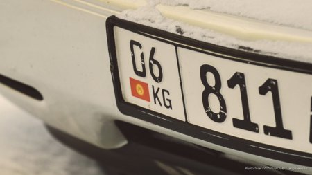 Легализация авто: можно ли дистанционно снять с учета машины из Кыргызстана и России 