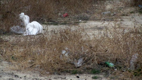 Проблема с мусором в центре Актау до сих пор не решилась