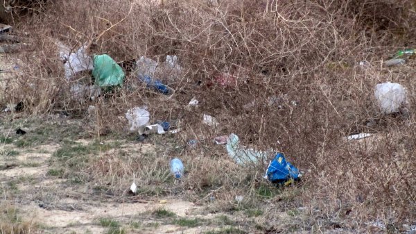 Проблема с мусором в центре Актау до сих пор не решилась