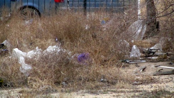 Проблема с мусором в центре Актау до сих пор не решилась