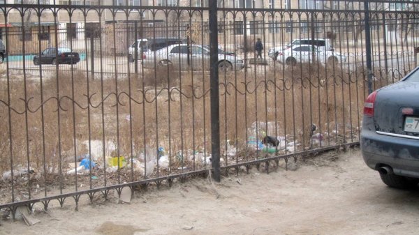 Проблема с мусором в центре Актау до сих пор не решилась