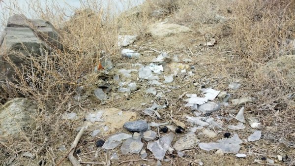 В свалку превратили территорию у водозаборного канала в Актау