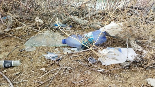 В свалку превратили территорию у водозаборного канала в Актау
