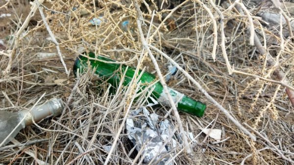 В свалку превратили территорию у водозаборного канала в Актау