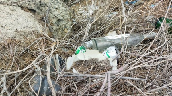 В свалку превратили территорию у водозаборного канала в Актау