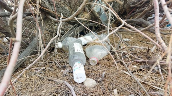 В свалку превратили территорию у водозаборного канала в Актау