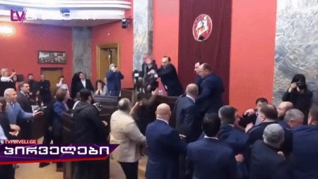 Депутаты устроили драку в парламенте Грузии 