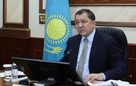 Нурлан Ногаев: Озеленение населенных пунктов необходимо проводить с привлечением научных специалистов