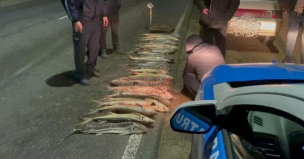 С осетриной задержали мужчину близ Актау