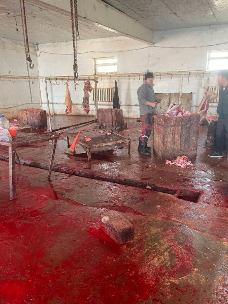 На антисанитарию в убойном пункте пожаловались жители Жанаозена