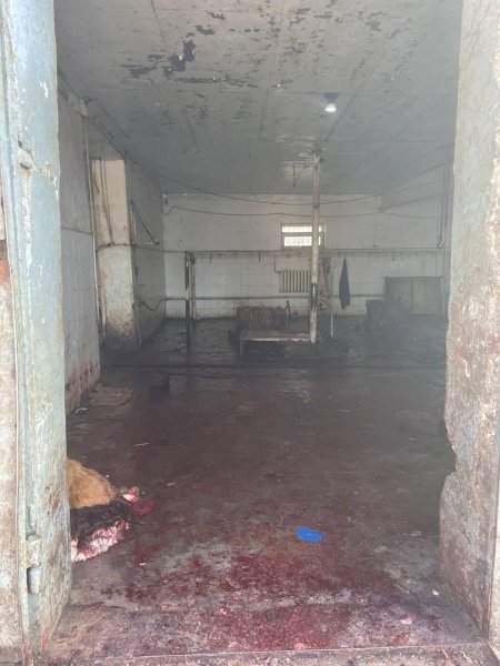 На антисанитарию в убойном пункте пожаловались жители Жанаозена