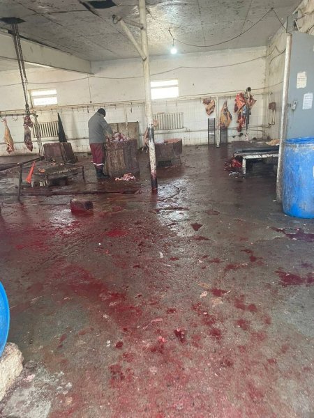 На антисанитарию в убойном пункте пожаловались жители Жанаозена